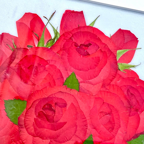 愛を誓う12本の赤い薔薇 ギフトに最適！押し花アート額 その他