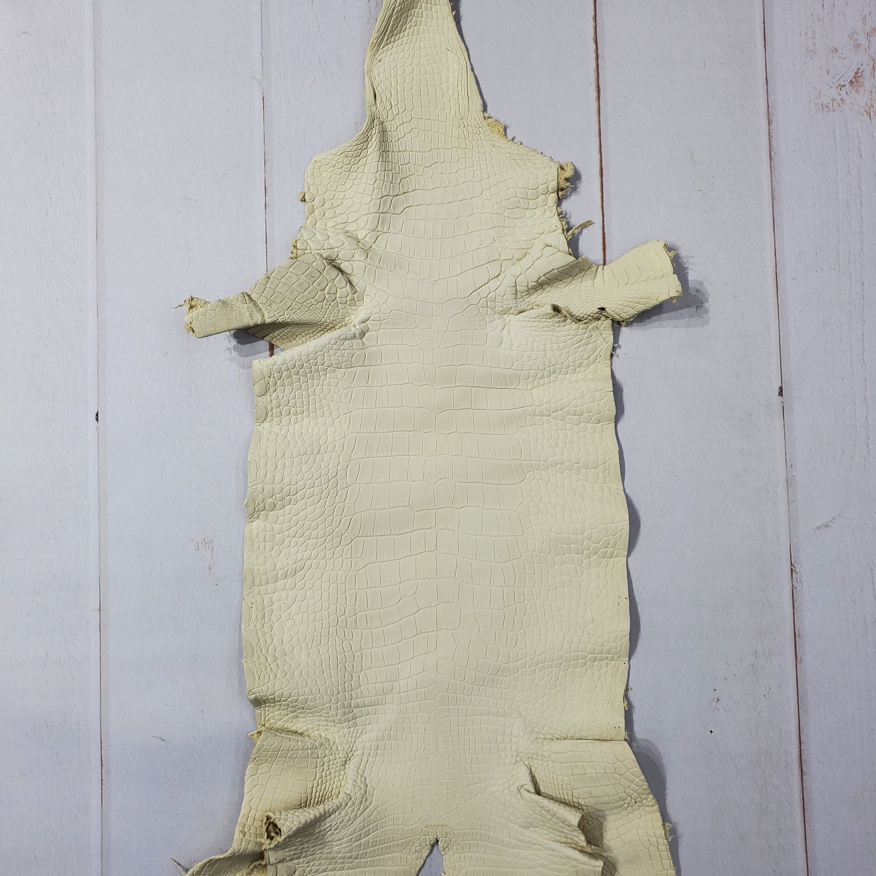 ワニ革  素マット ペールベージュ  No.C007259