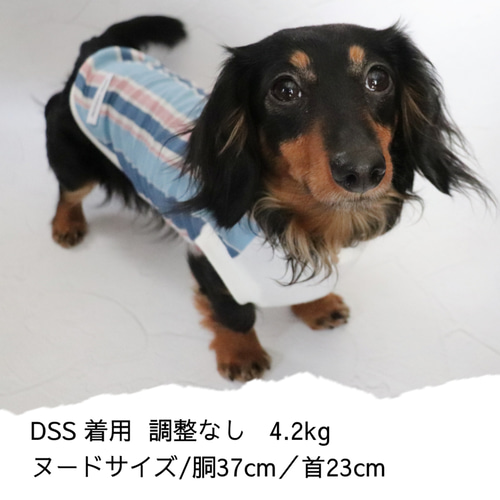 犬服ハンドメイド　ボーダーリブワンピ 犬服ハンドメイド ボーダーリブワンピ