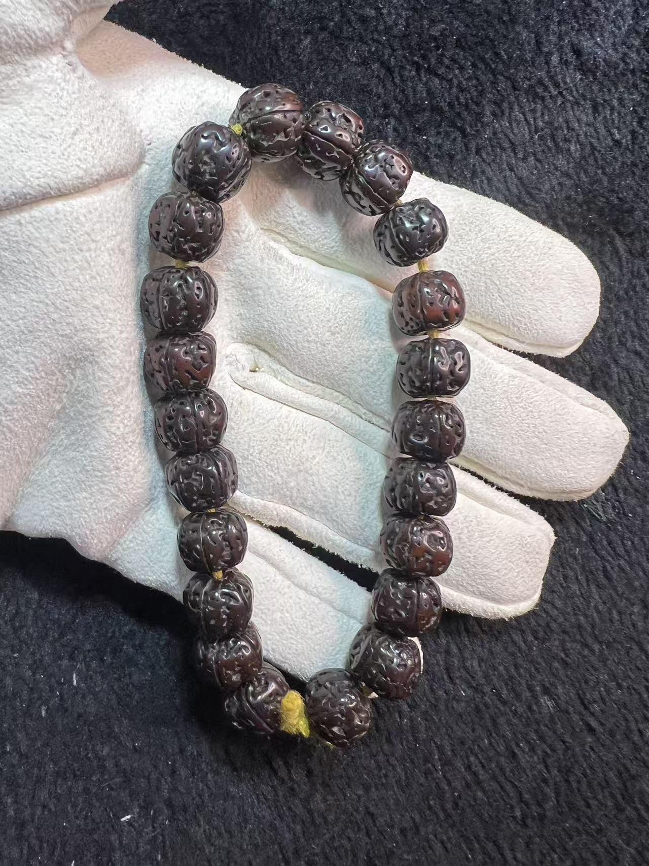 ルドラクシャ(菩提樹の実) 五弁双龍紋インドネシア花王小金剛菩提121210/20.7g/JST25054