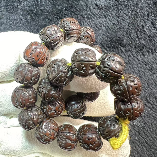 ルドラクシャ(菩提樹の実) 五弁双龍紋インドネシア花王小金剛菩提