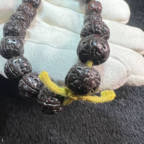ルドラクシャ(菩提樹の実) 五弁双龍紋インドネシア花王小金剛菩提