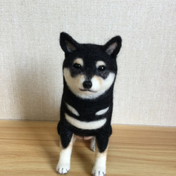 羊毛フェルト 犬 柴犬 羊毛フェルト masapan 通販 6738959
