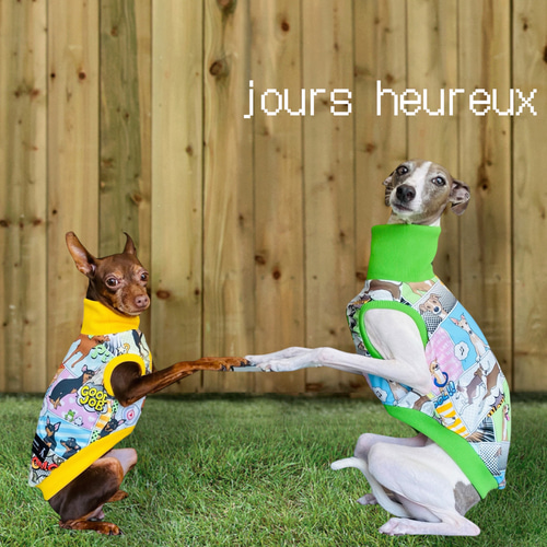 イタグレ ウィペット 浴衣 イタグレ ウィペット 浴衣 GIRLS イタグレ