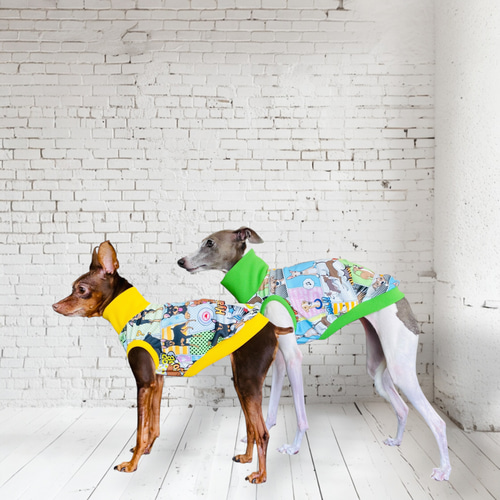 イタグレ ウィペット】イタグレ、イタグレを纏う ペット服