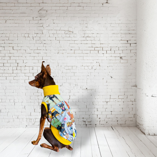 イタグレ ウィペット】イタグレ、イタグレを纏う ペット服