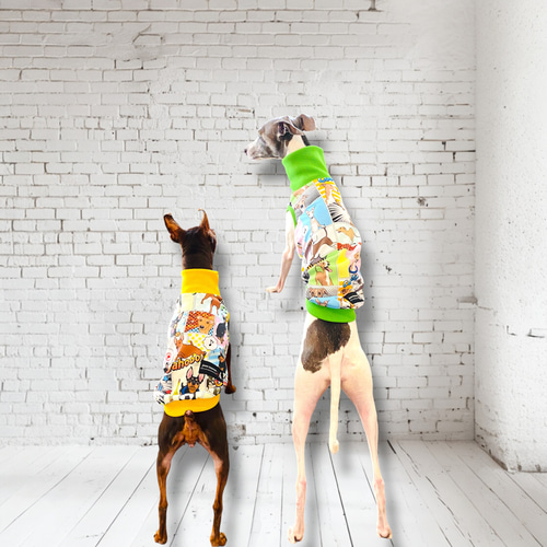 イタグレ ウィペット】イタグレ、イタグレを纏う ペット服