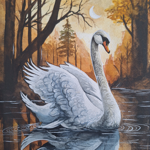 水彩画 夕陽の美しい白鳥 絵画 makochin 通販 19209949｜Creema