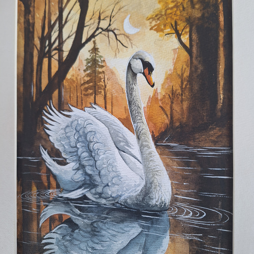 水彩画 夕陽の美しい白鳥 絵画 makochin 通販 19209949｜Creema