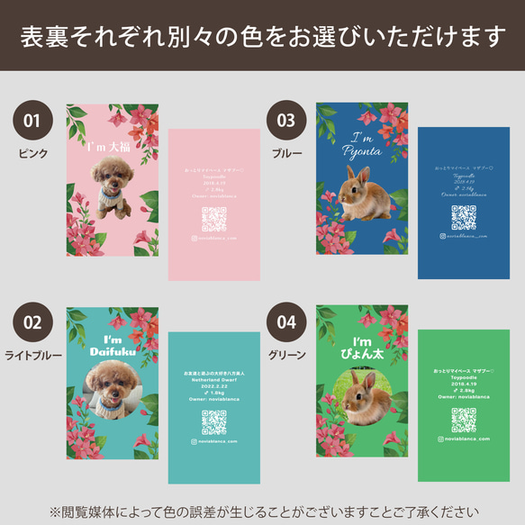 【受注後制作】フォント・背景色を選べる ペット名刺 『両面版』 50枚 ブーゲンビリア 縦 10枚目の画像