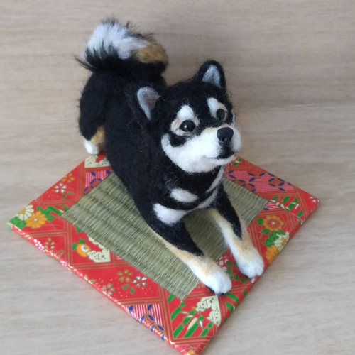 ハンドメイド　羊毛フェルト　黒柴　柴犬 羊毛フェルト 黒柴犬さん 柴犬 羊毛フェルト はなちよ 通販 19210163