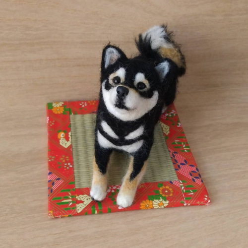 羊毛フェルト 黒柴犬さん 柴犬 羊毛フェルト はなちよ 通販 19210163
