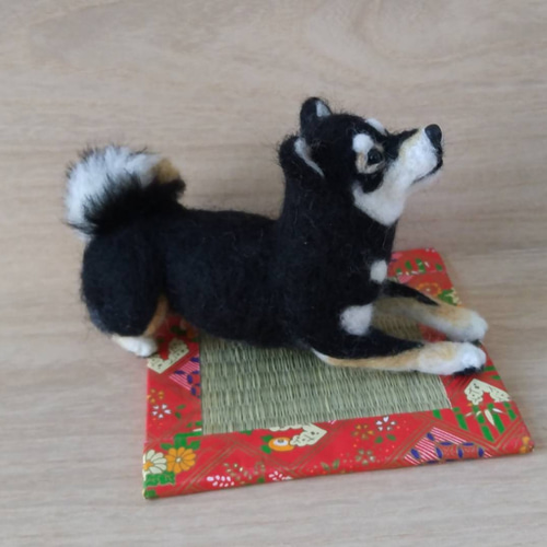 羊毛フェルト 黒柴犬さん 柴犬 羊毛フェルト はなちよ 通販 19210163