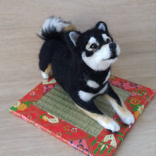 羊毛フェルト 柴犬 羊毛フェルト 黒柴犬さん 柴犬 羊毛フェルト はなちよ 通販 19210163