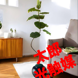 光触媒 人工観葉植物 ウォールグリーン フェイクグリーン