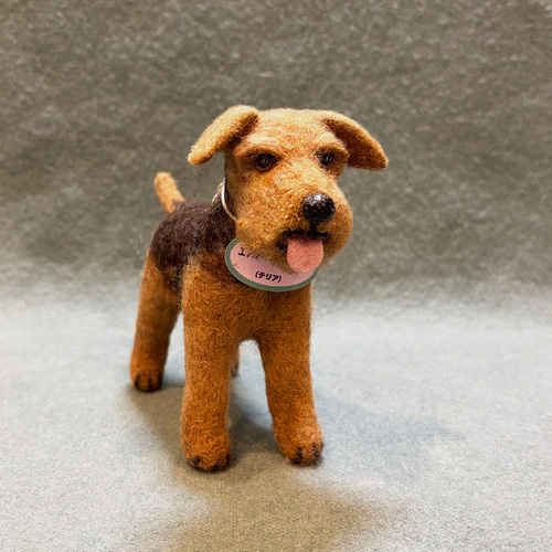 【希少品！】ふしぎ犬トントン★エアデールテリアぬいぐるみ エアデール・テリア 01S / 01C – JEKCA-SHOP