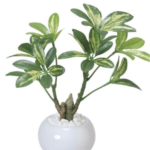 光触媒 人工観葉植物 ウォールグリーン フェイクグリーン シェフレラ