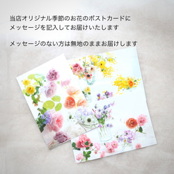 【creema限定】枯れない・水替え不要　パープルグリーン３連～マジカルウォーター　 9枚目の画像