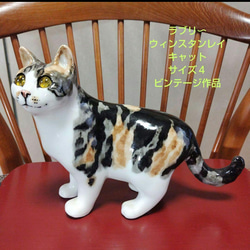 ウィンスタンレイキャット（ケンジントンキャット）ハチワレの子猫、サイズ3 SOLD OUT】ウィンスタンレイキャット（ケンジントンキャット