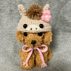 2026年午年❤️馬の帽子❤️干支帽子❤️小型犬用帽子・猫用帽子