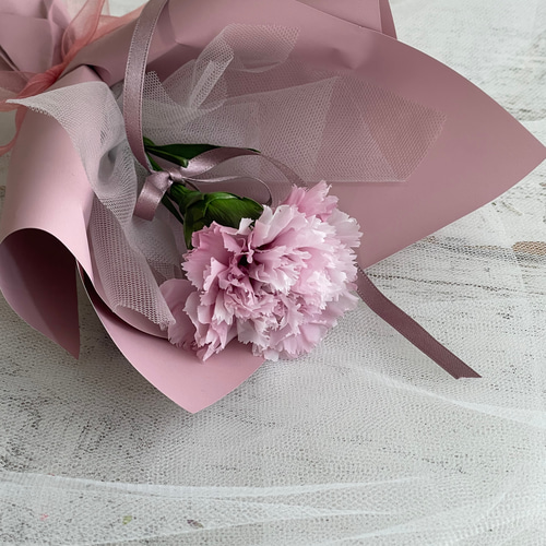 数量限定 母の日カーネーション♡ 一輪花 推し プレゼント 一輪
