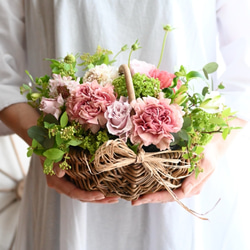 ドライフラワー＊ミモザのリース＊20センチ リース Secret garden 通販