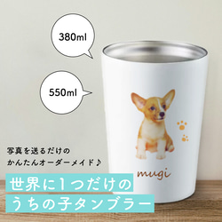 ハンドメイド 猫ちゃん ワンチャン ペット用 2段ベッド♫ 寝る