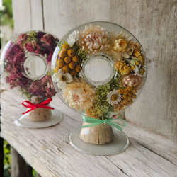 ホオズキのガーランド ドライフラワー はなさか兄さん 通販 4310593