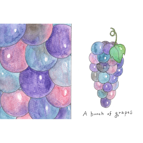 ぶどうの絵（一点ものイラスト原画）（木の額縁付き） イラスト