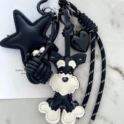 遊ぶ胡桃、文玩核桃、クルミ核桃セット322641/32.1g その他