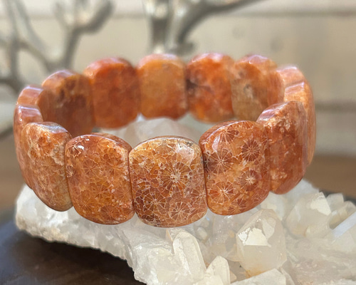 フォッシルコーラル✴︎珊瑚の化石✴︎バングル バングル・リスト