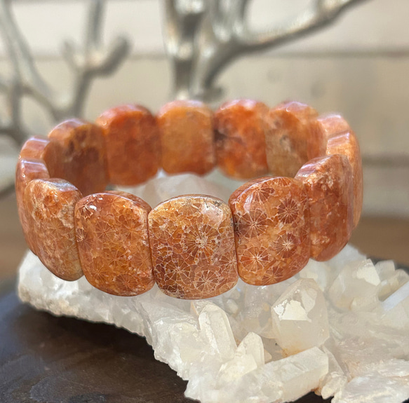 フォッシルコーラル✴︎珊瑚の化石✴︎バングル バングル・リスト