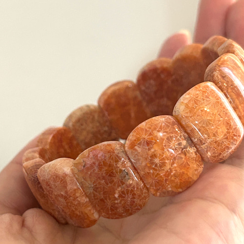 フォッシルコーラル✴︎珊瑚の化石✴︎バングル バングル・リスト