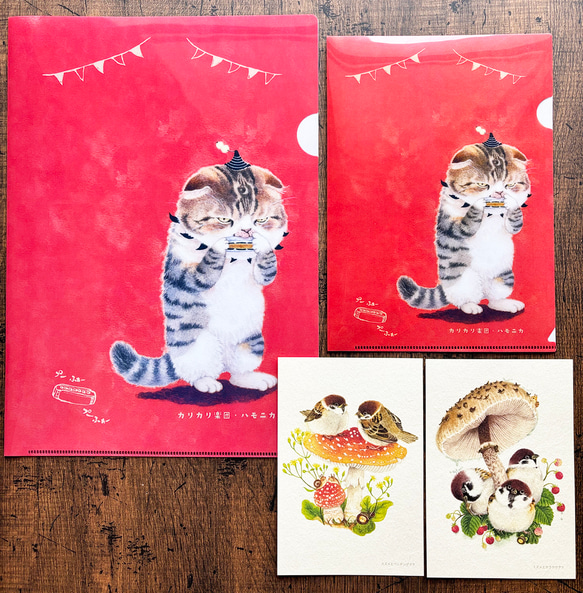 クリアファイル〈A4サイズ〉ハモニカ 3枚目の画像