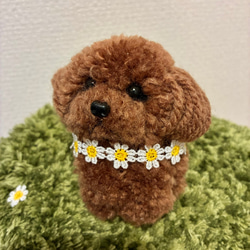 手乗りうるうるおめめのトイプードル ポンポン毛糸＊ 置き物マスコット