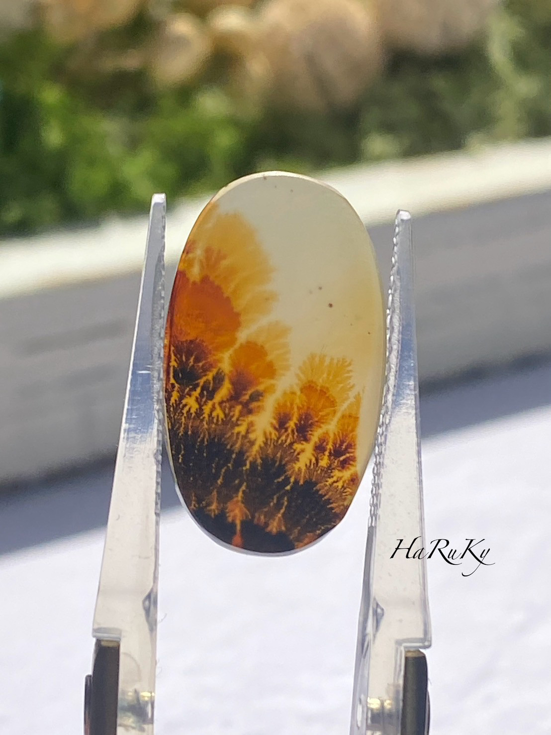 トップグレード 樹木のアゲート デンドリティックアゲート 44 天然石 天然色