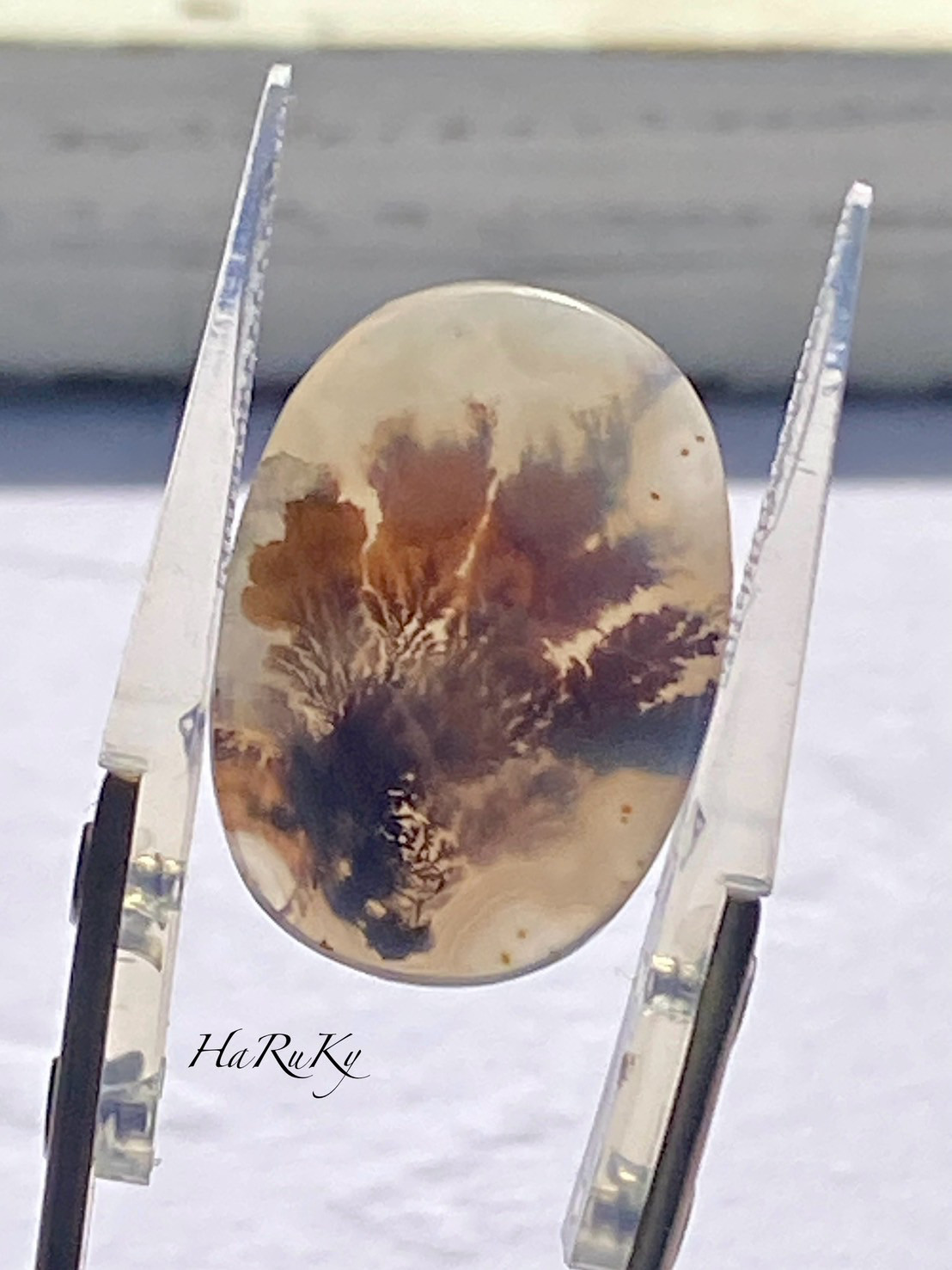 トップグレード 樹木のアゲート デンドリティックアゲート 45 天然石 天然色