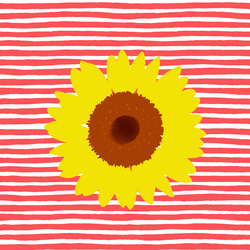 くったり夏のプールバッグ(向日葵) 14枚目の画像