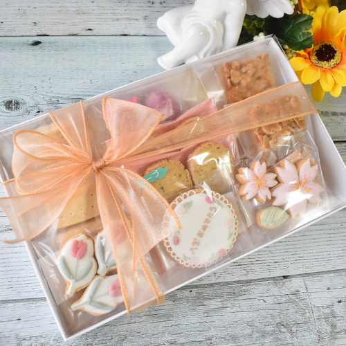 リリアン のアイシングクッキーセット sd2_b3ad15f3ecdeee2aa6f9e26b70