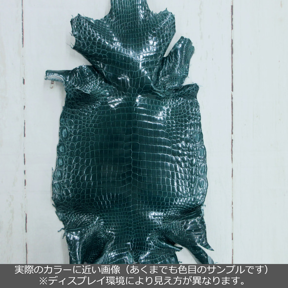 ワニ革 クロコ  グレージング仕上げ  オリエンタルブルー　No.C007662 2枚目の画像
