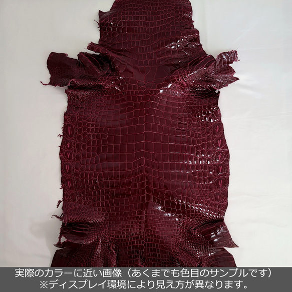 ワニ革 クロコ グレージング仕上げ  ボルドー No.C007922 2枚目の画像