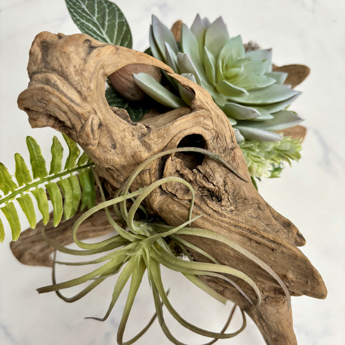 流木グリーン 男前インテリア 玄関を格上げするインテリア フェイク