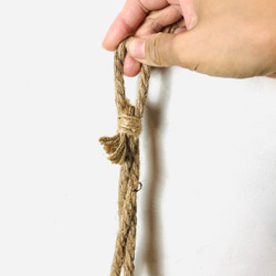 おしゃれ　『シュガーバイン』グラスハンギング　ベラボン植え  壁掛け　インテリア　観葉植物 7枚目の画像