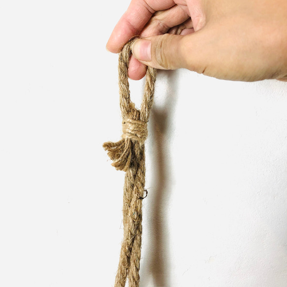 おしゃれ　『シュガーバイン』グラスハンギング　ベラボン植え  壁掛け　インテリア　観葉植物 7枚目の画像