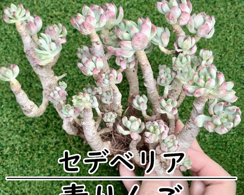 f6d5ef59fb75ccd497bb8330ff4f22