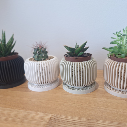 3Dプリンター鉢 2個セット 2号 ジャイロイド 北欧 モダン 多肉植物