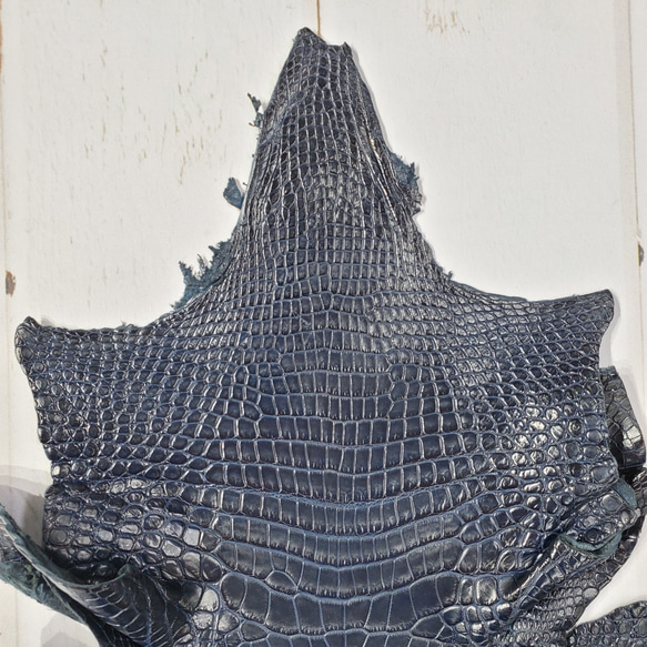 ワニ革　クロコ　藍染　<キャンペーン限定商品＞　No.C008078 3枚目の画像