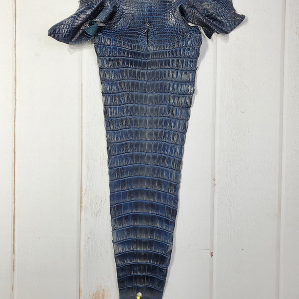 ワニ革　クロコ　藍染　<キャンペーン限定商品＞　No.C008078 5枚目の画像