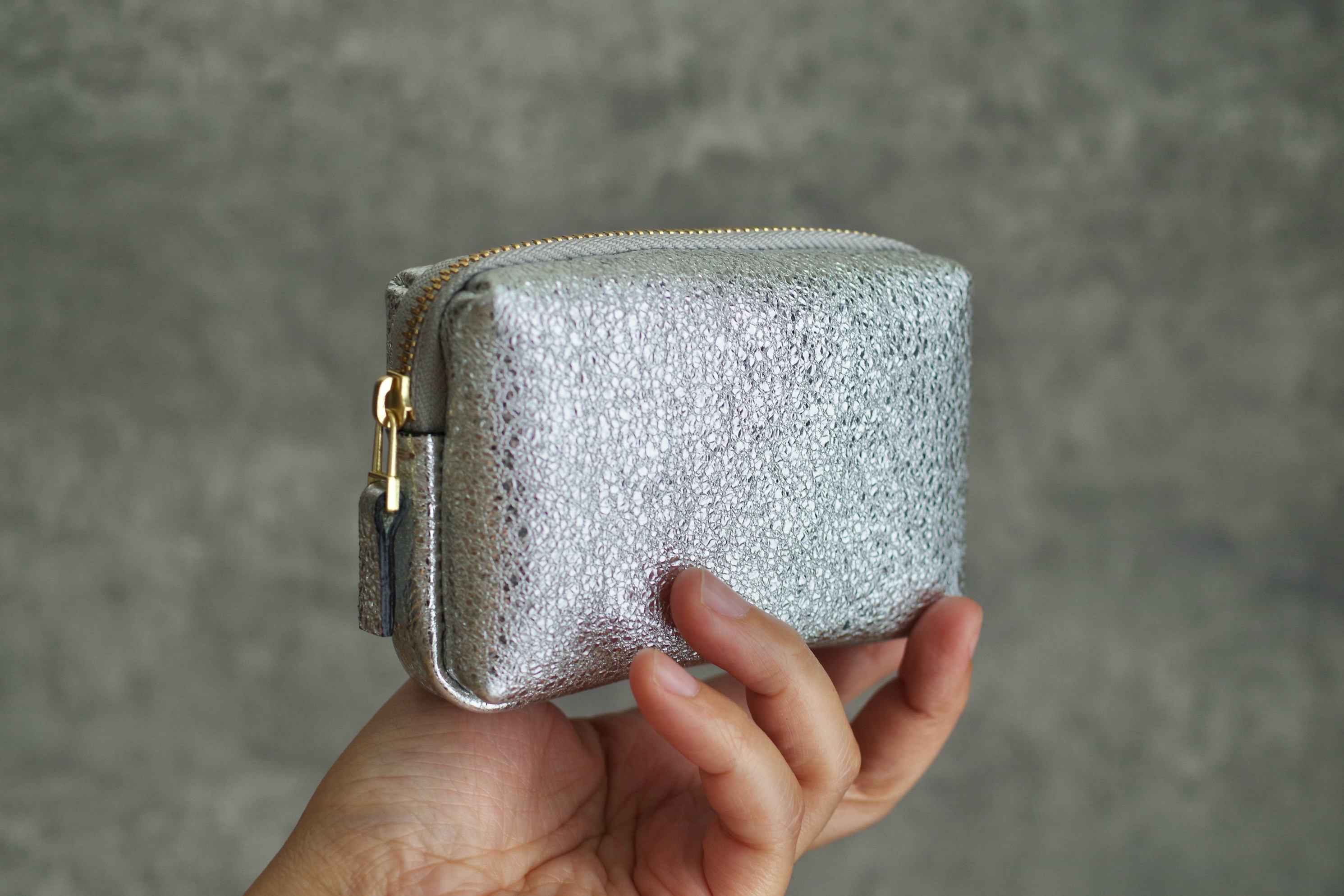 小さいマルチケース（シルバー）