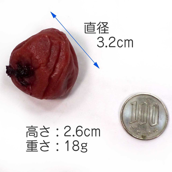  第8張的照片